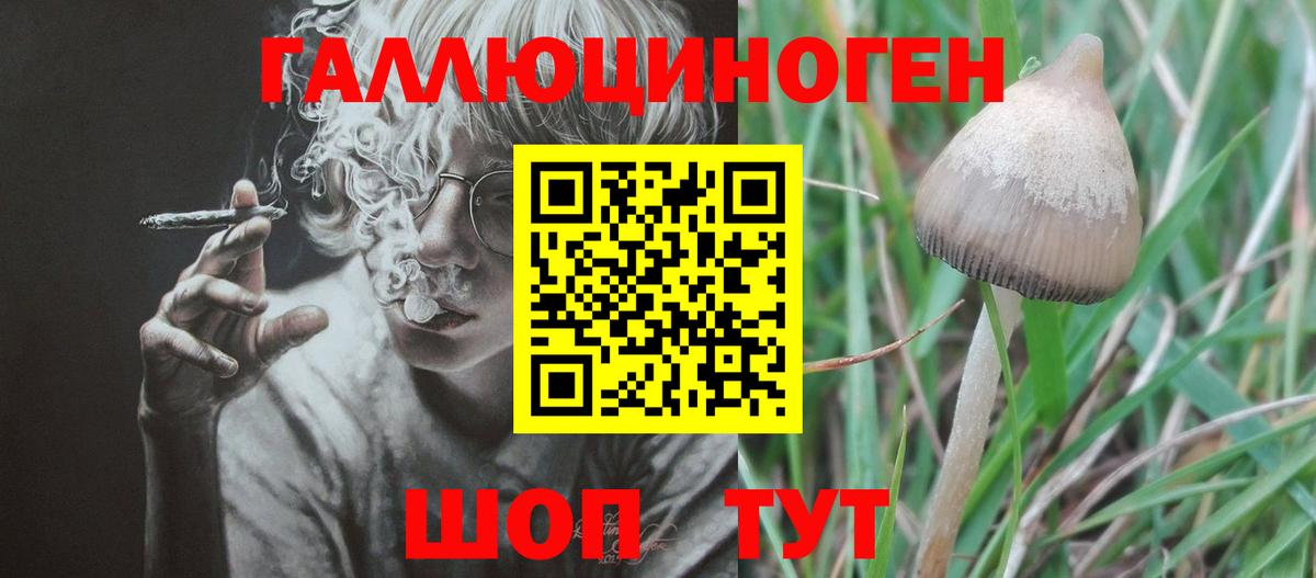 Соликамск  Галлюциногенные грибы ЛСД  Вход с VPN 
